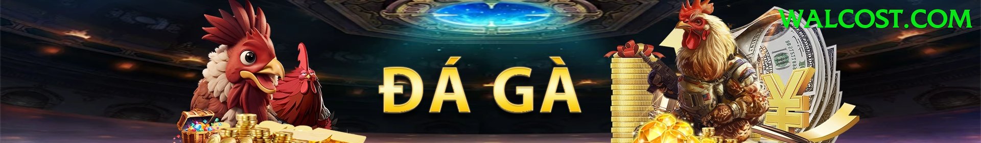 Đá Gà Trực Tiếp - Trải nghiệm tuyệt vời