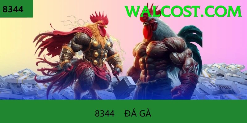 Đá Gà Trực Tiếp - Ưu đãi đặc biệt