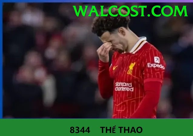 Cá Cược Thể Thao - oke88